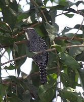 �����V��ͼƬ