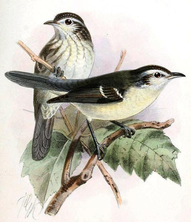 ˫�߻�βȸ��ͼƬ