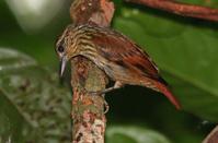 ��β����ȸ��ͼƬ