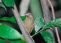 ί��������βȸ��ͼƬ