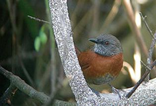 ������βȸ