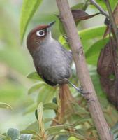 ���ۼ�βȸ��ͼƬ