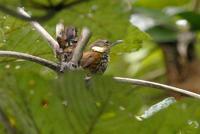 ̫ƽ��ؼ����