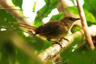 �ضȸ��ͼƬ