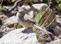 ����βȸ��ͼƬ