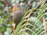 ��ü��βȸ��ͼƬ