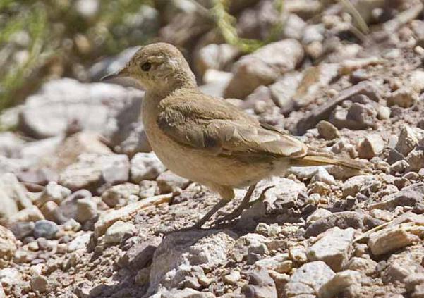 �ذ߾�Ѩȸ��ͼƬ