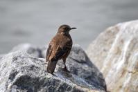 ���˶�β��ȸ��ͼƬ