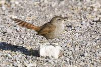 Ͽ�ȿ��������ͼƬ