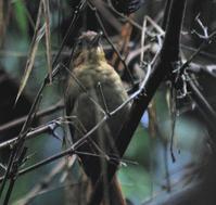 ����ʰҶȸ��ͼƬ