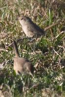 ���쿨�������ͼƬ