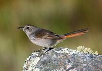 �������������ͼƬ