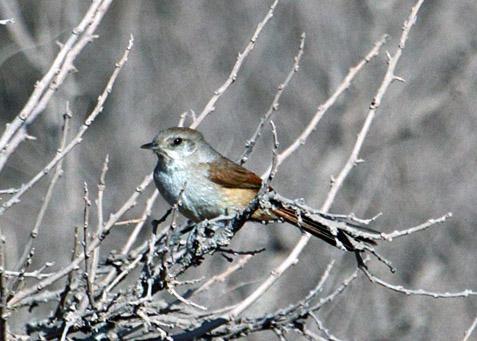 ���ؿ�������