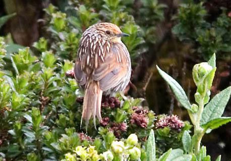 ���ƿ��������ͼƬ