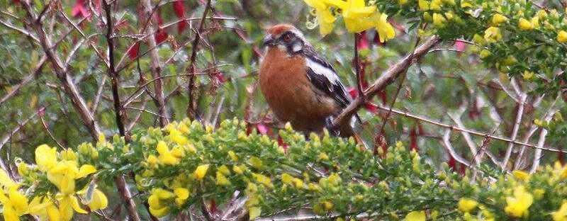 ��β������ͼƬ