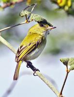 �����ư��l