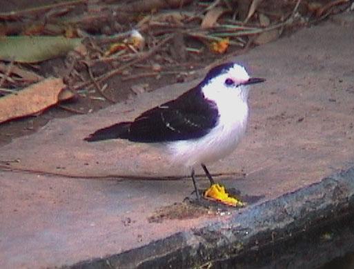 �ڱ�ˮ���l��ͼƬ