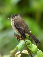 �ڶ��ư��l