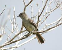 ��������l��ͼƬ