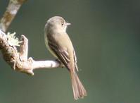 ������̰��l��ͼƬ