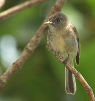 ��������l