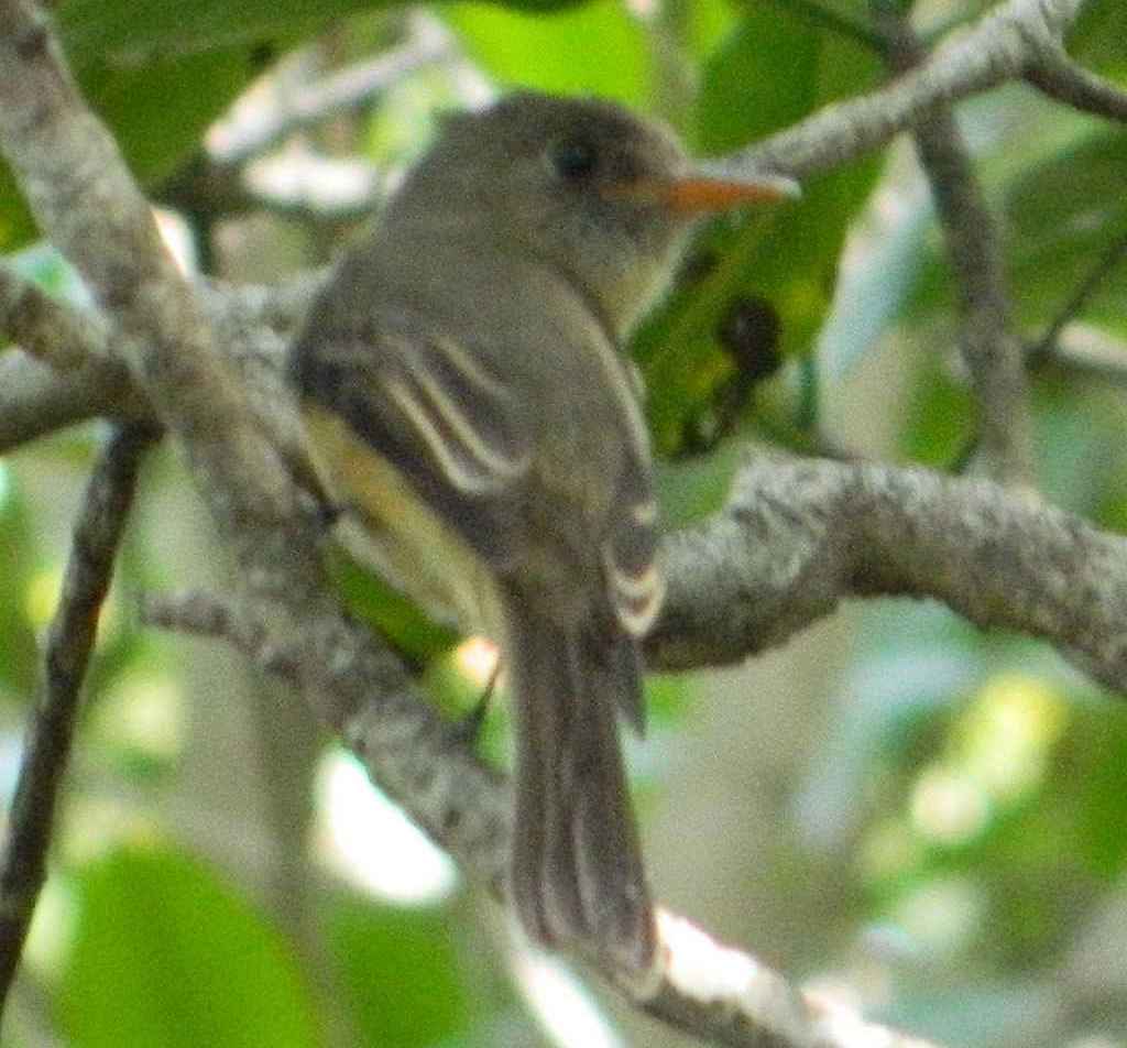 С�����̰��l��ͼƬ