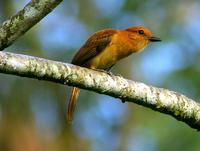 ��찢�ٰ��l