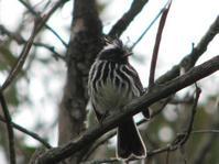 �ڹ�ȸ���l��ͼƬ