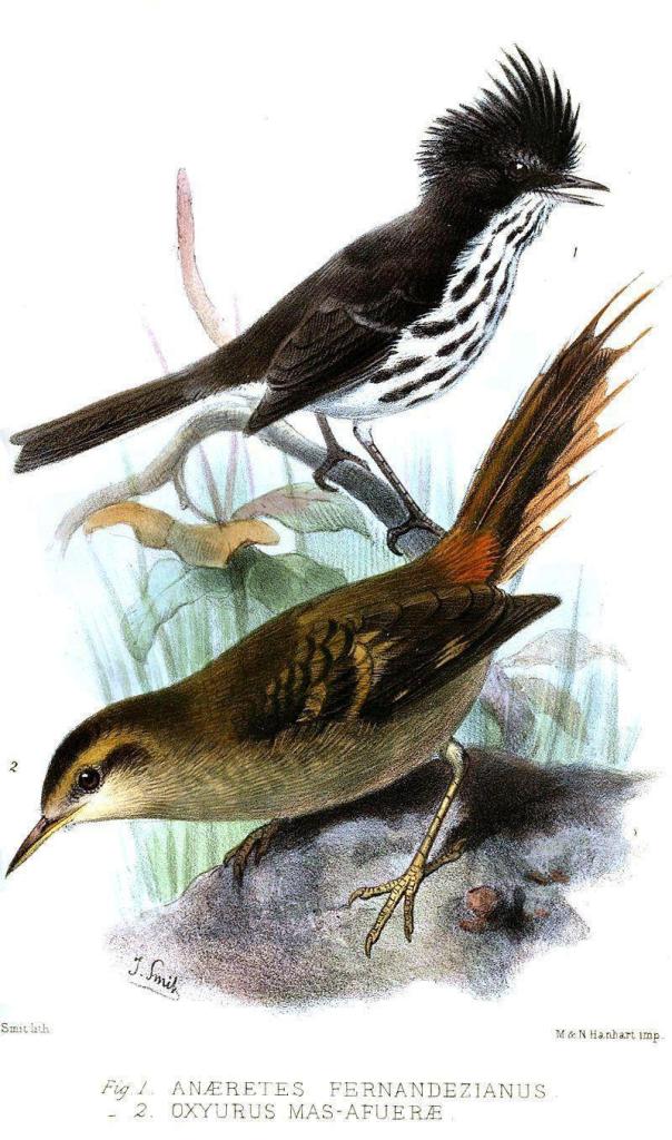 ���϶�˹ȸ���l��ͼƬ