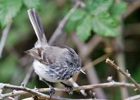 ���϶�˹ȸ���l