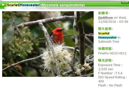 糺�������