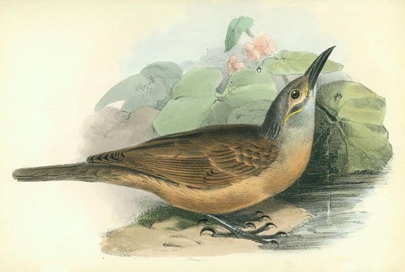 �������������ͼƬ