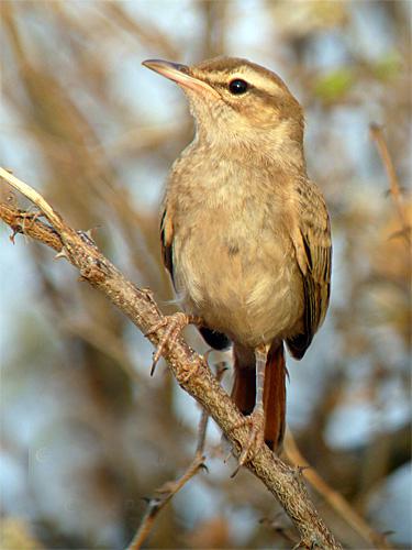 ����޴��ͼƬ