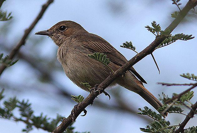 ��β���S��ͼƬ