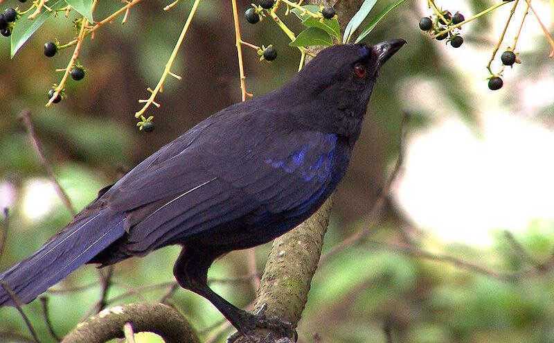 Х�����ͼƬ