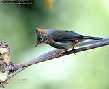 ���η���