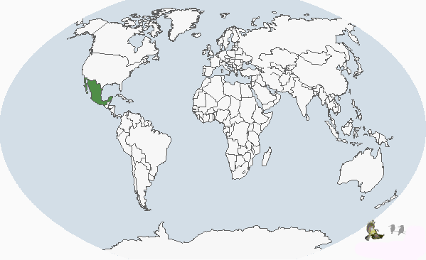 ����έ����