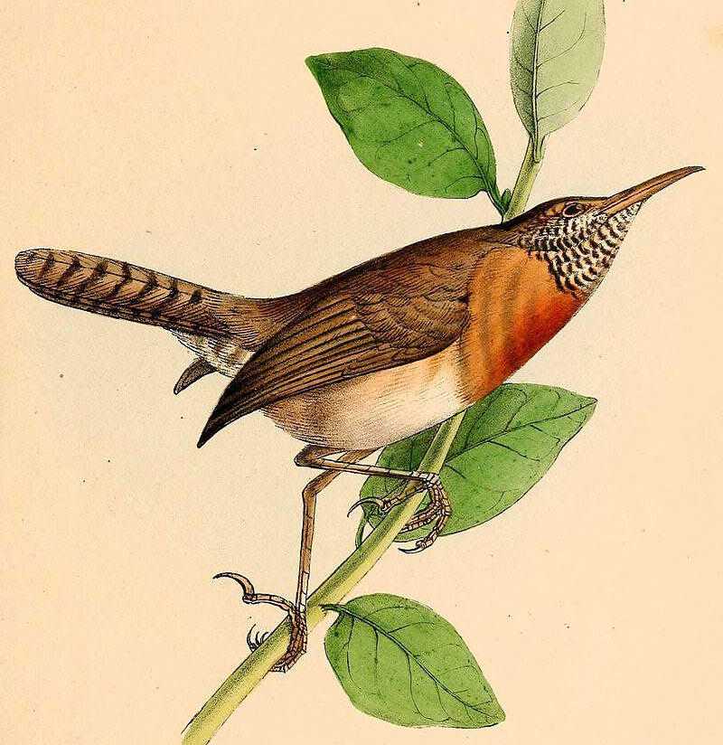 ����έ���ӵ�ͼƬ