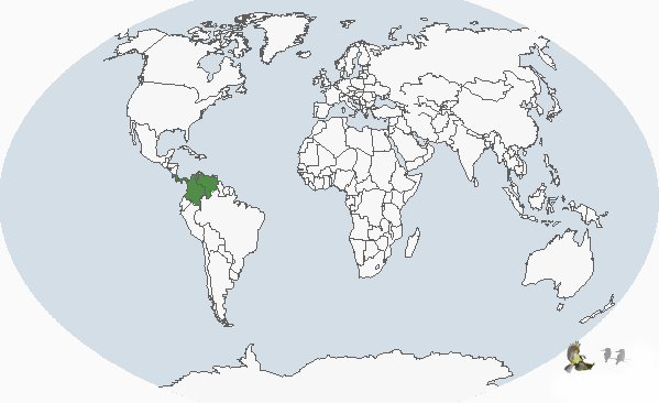 ����έ����