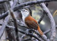 ��üέ���ӵ�ͼƬ