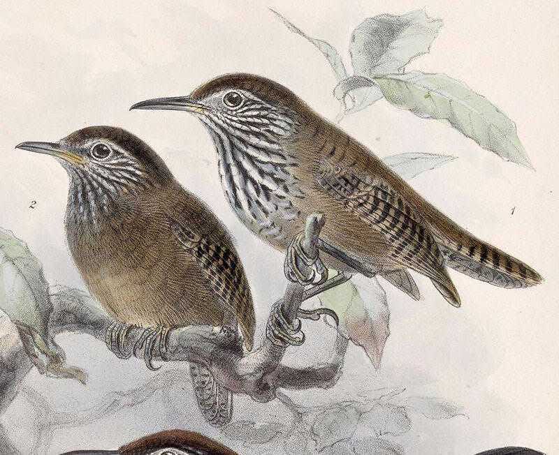 ����έ���ӵ�ͼƬ