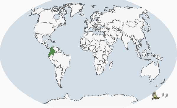 �ƺ�έ����