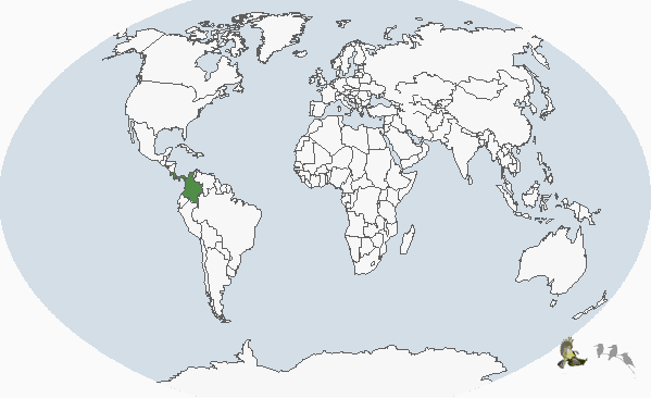 �ڸ�έ����