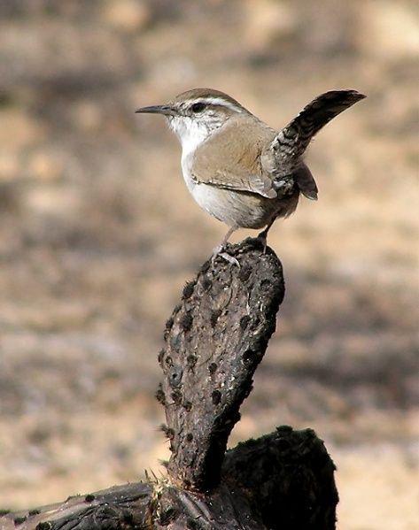 έ������