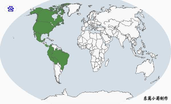 έ������