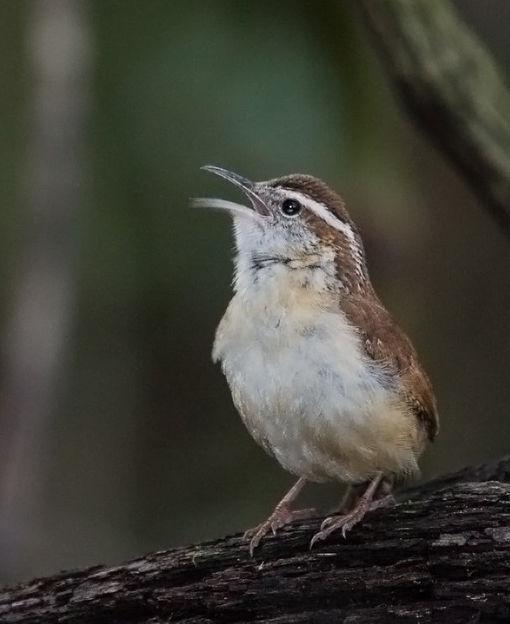 έ������