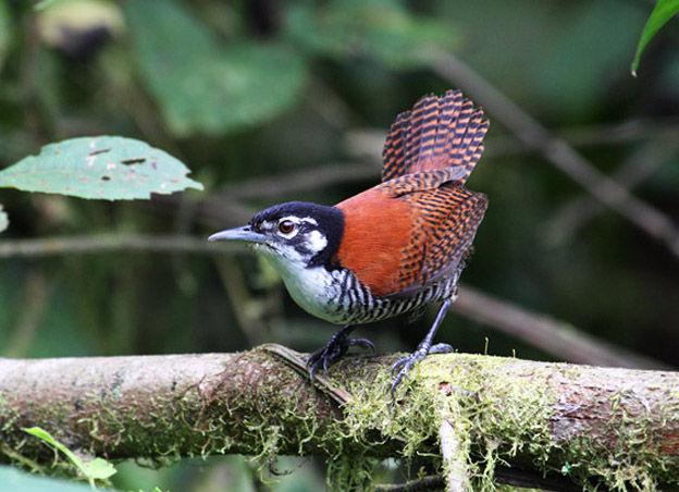 έ������