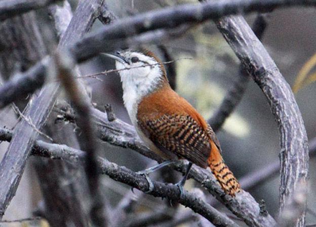 έ������