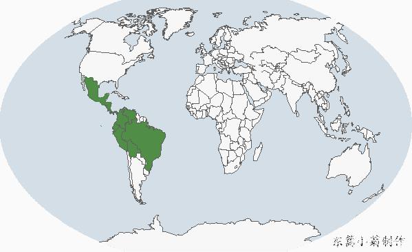 �߳�������