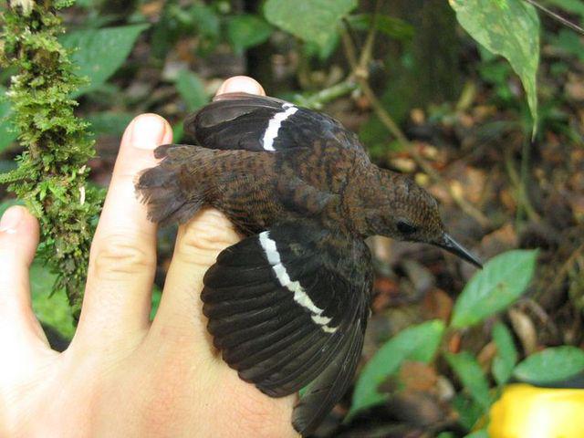 �߳�����